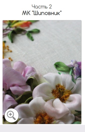 Шиповник - Бёрд (2015)_0.jpg